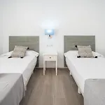 Апартаменты Nuevo Mirandilla - *